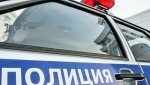 В Иркутском районе сотрудники полиции задержали подозреваемых в убийстве собаки